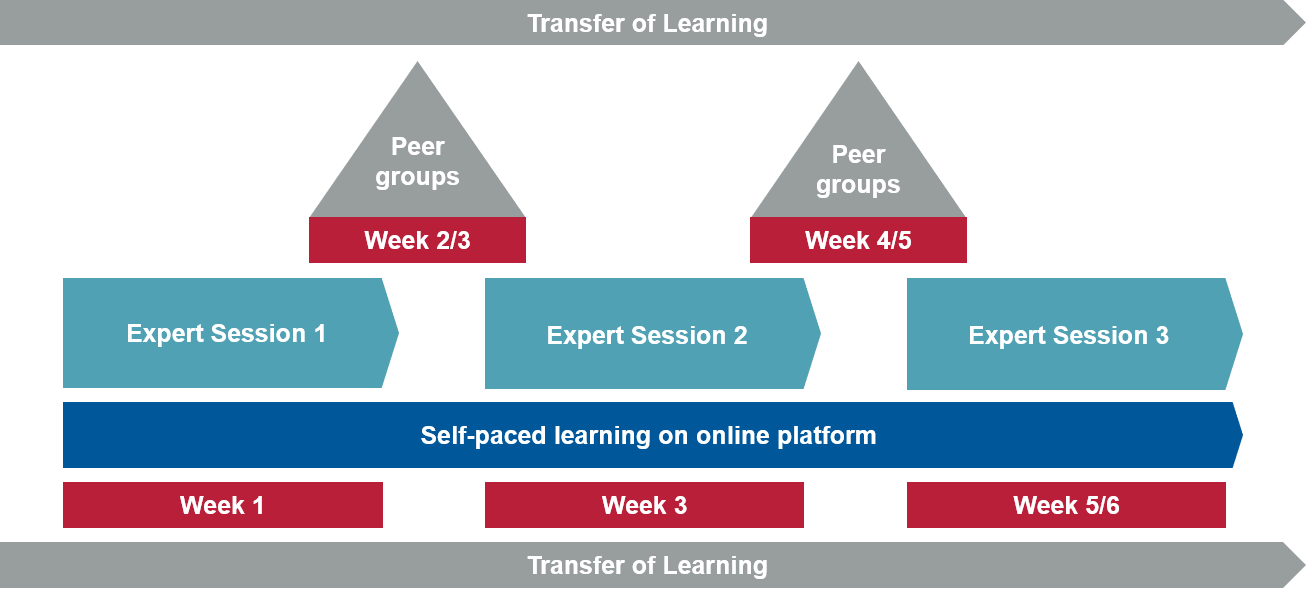 Learning architecture "Hybrid Office Excellence - Successful and Safe"